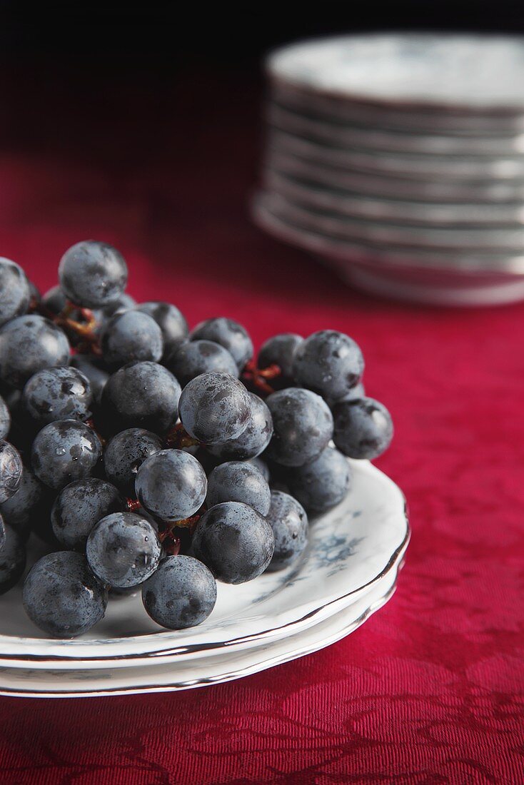 Fresh Concord Grapes on Antique China Plates