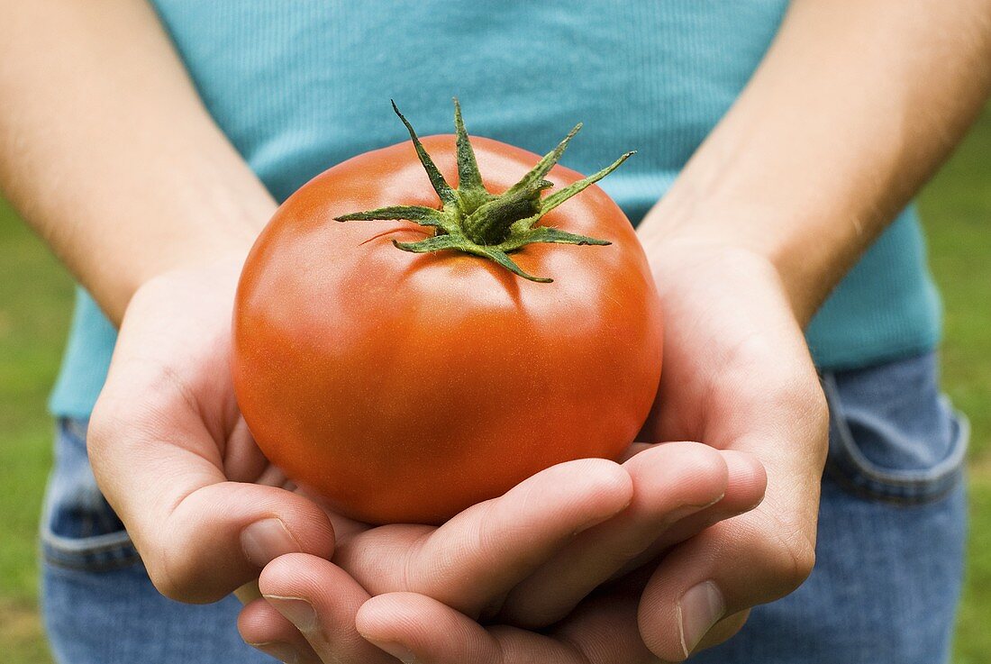 Young Girl Holding Freshly Picked Tomato