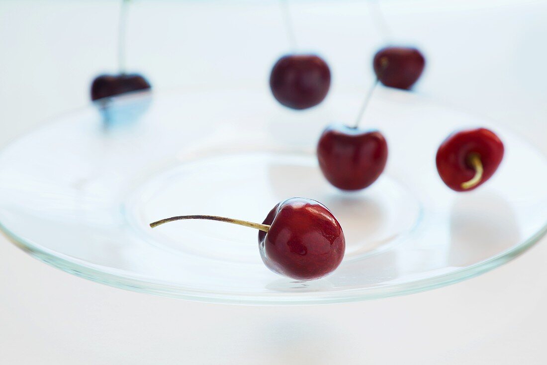 Red Cherries on a Glass Plate