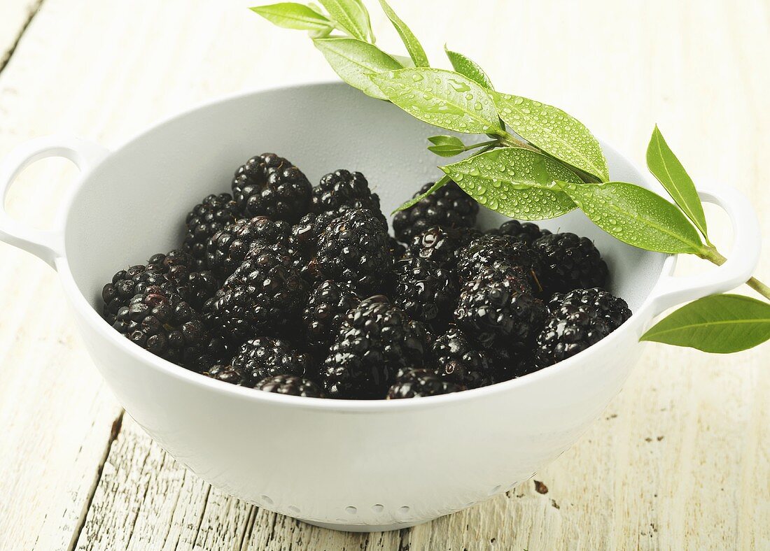 Blackberries in a White Strainer