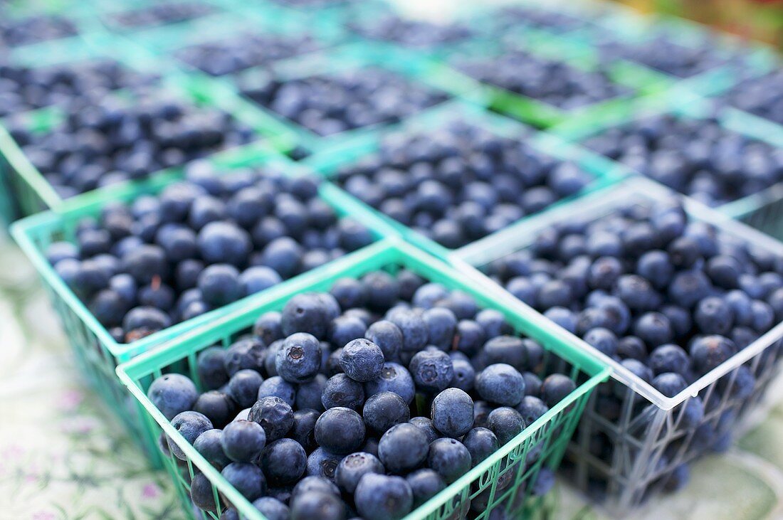 Plastic Containers of Fresh Picked Blueberries at Market