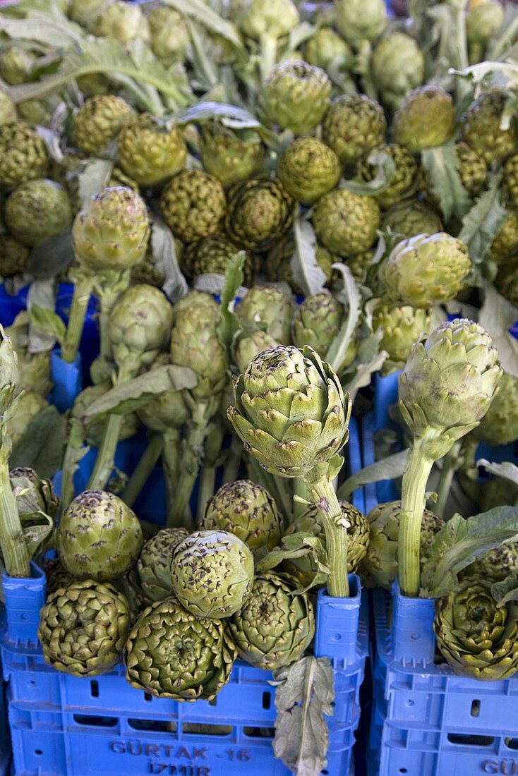 Frische Artischocken in Steigen auf dem Markt