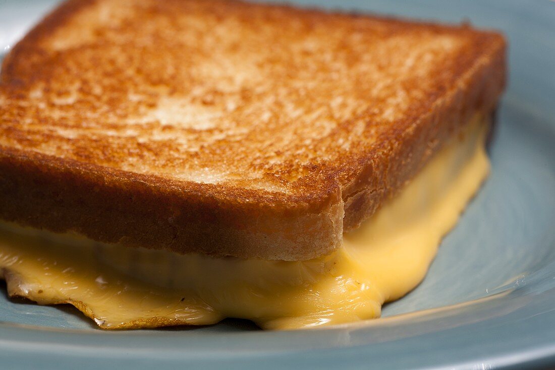 Toasted cheese sandwich (close-up)