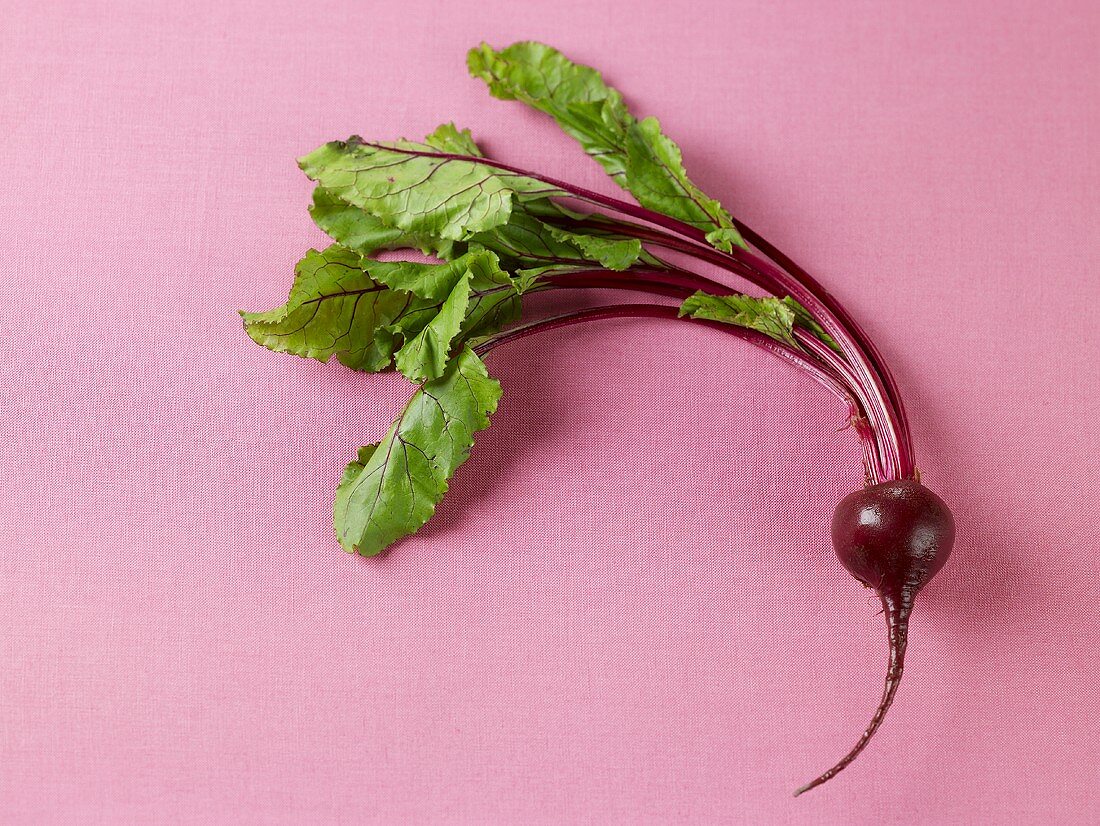 Eine Rote Bete mit Blättern vor rosa Hintergrund