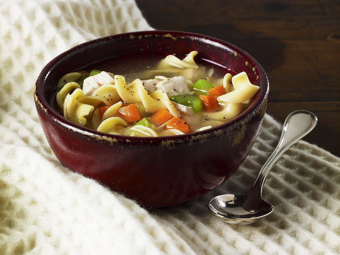Hühner-Nudel-Suppe mit Gemüse