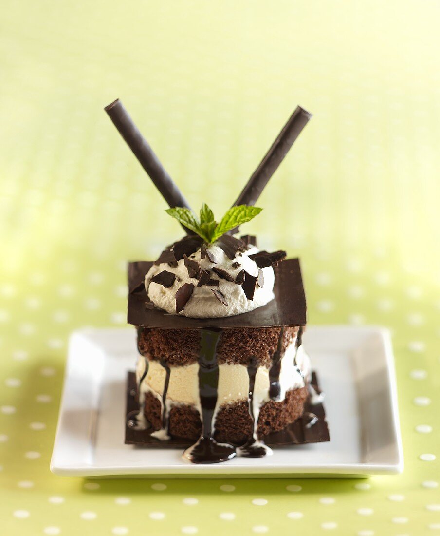 Double Chocolate Delight; Chocolate Cake with Ice Cream, Chocolate Sauce and Chocolate Sticks