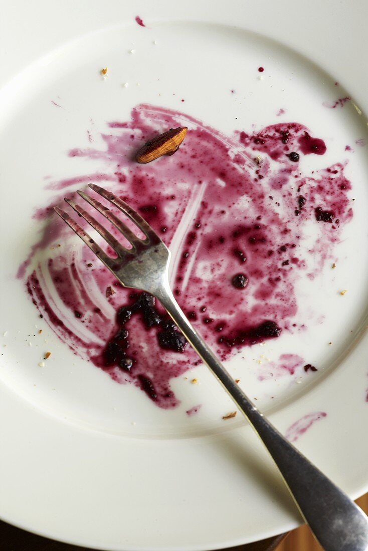 Empty Plate with Blueberry Sauce Remains; Fork