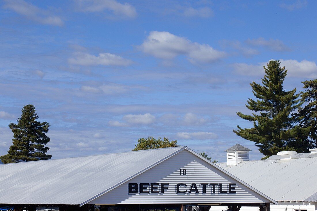 Beef Cattle Sign on Barn