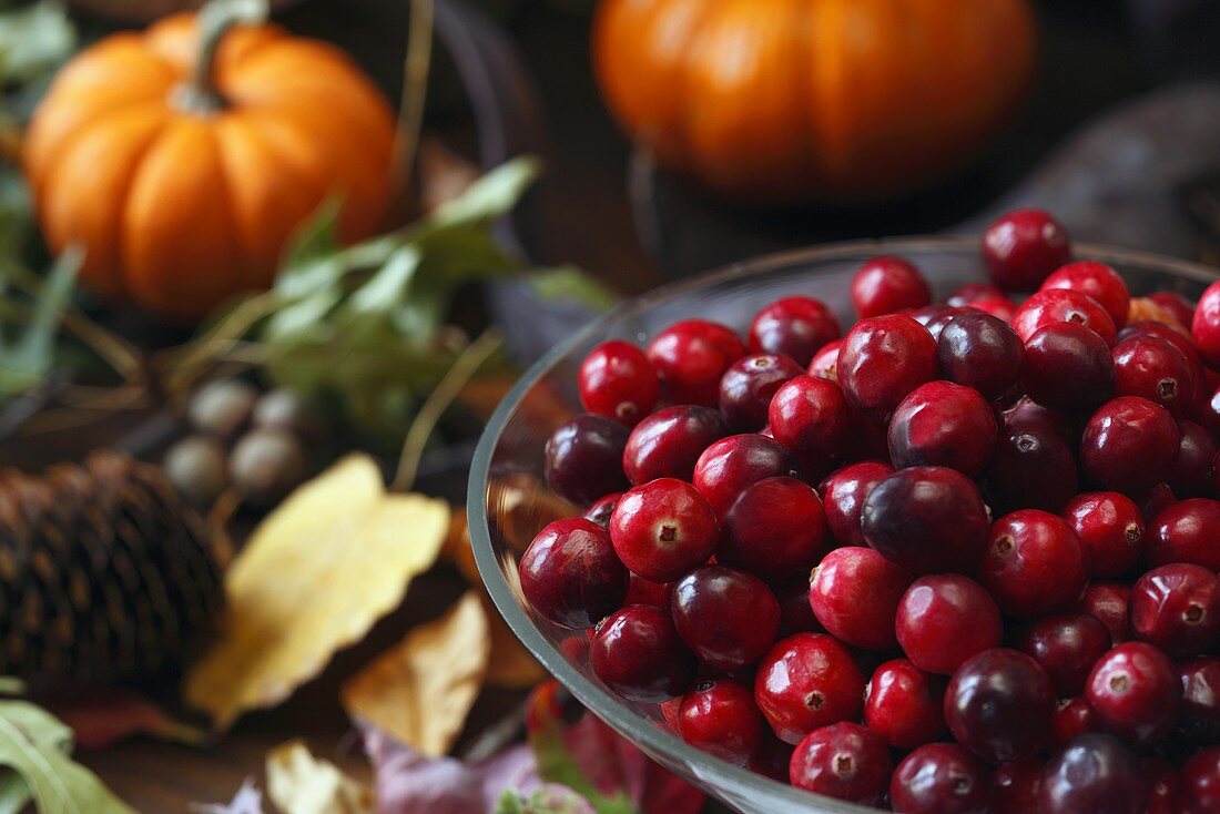 Bowl of Fresh Cranberries Leaves, Pine Cones and Pumpkins