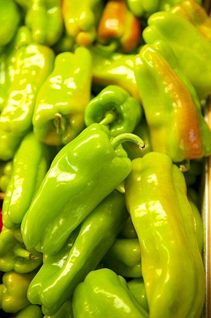 Fresh Peppers