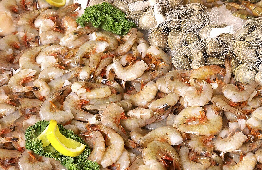 Shrimps und Clams am Fischmarkt