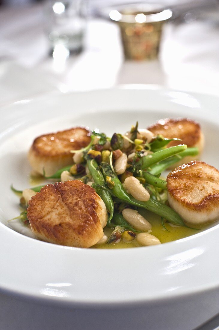 Seared Scallops with Green Beans and Fava Beans in Broth