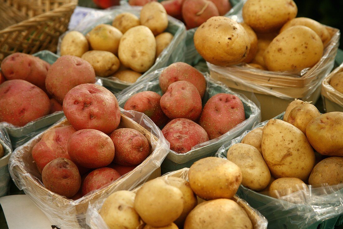 Verschiedene Kartoffeln auf dem Markt