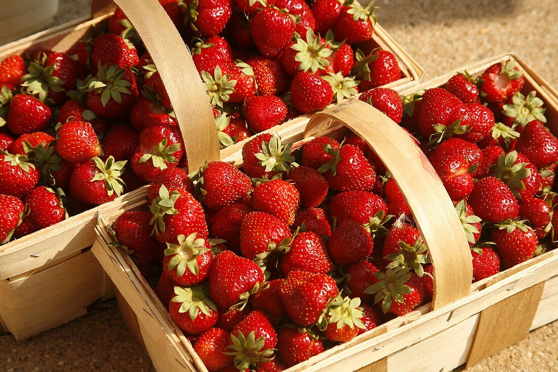Bio-Erdbeeren in Spankörben auf dem Markt
