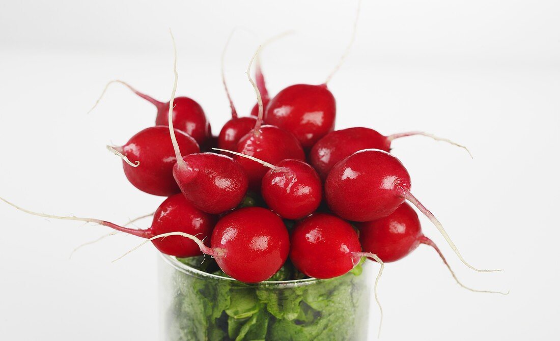 Bunch of Red Radishes in a Glass
