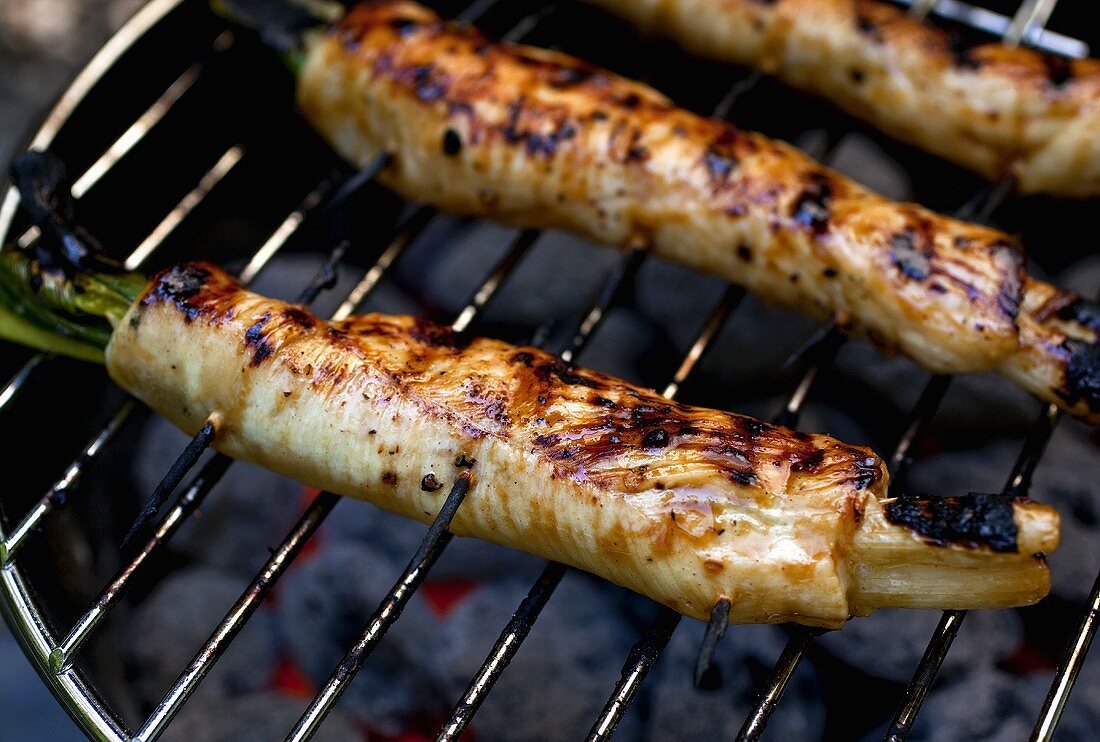 Chicken Negamaki (Hähnchenröllchen auf Frühlingszwiebeln) auf dem Grill