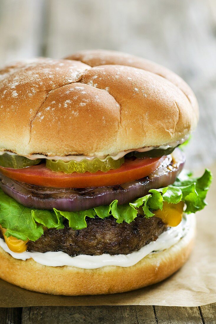 Hamburger with Onion, Tomato, Pickles and Lettuce