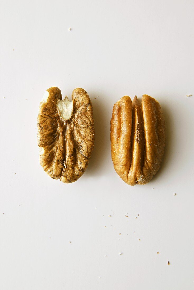Pecans Out of the Shell