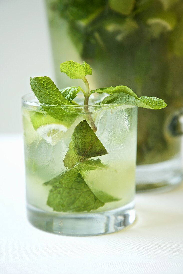 Mojito with Fresh Mint Sprig