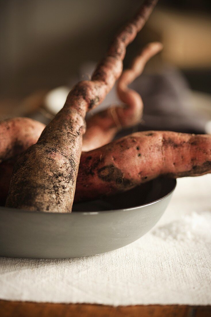 Winter Beets in a Bowl