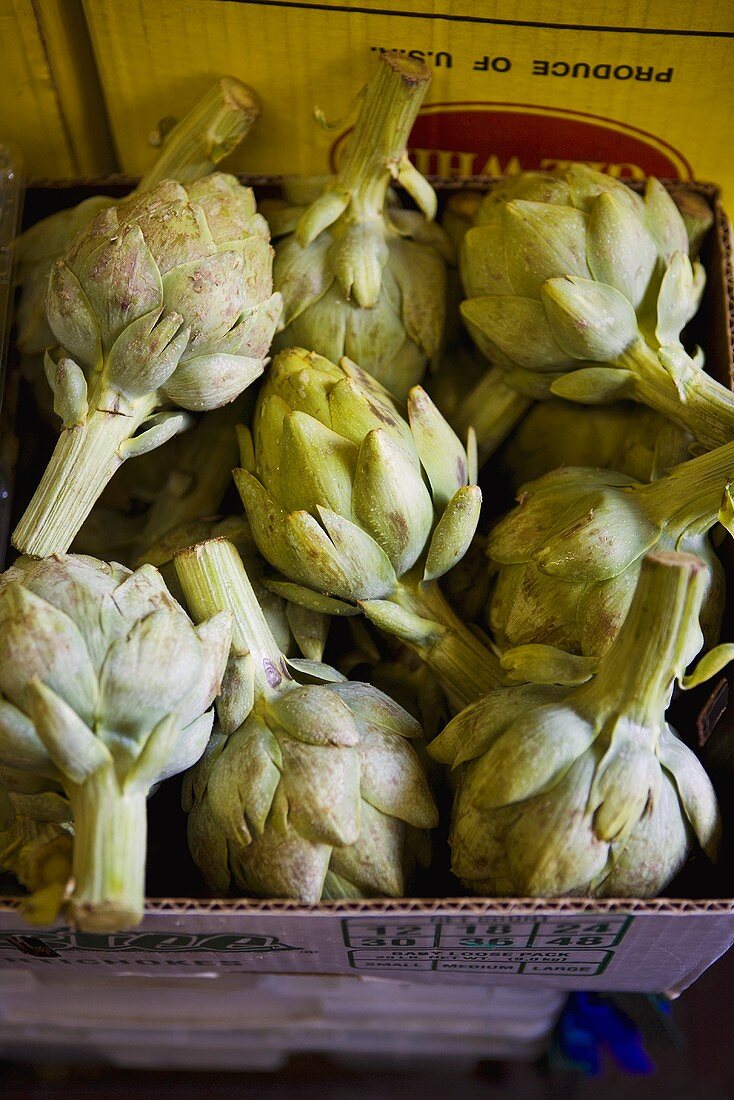 Fresh Artichokes in a Box