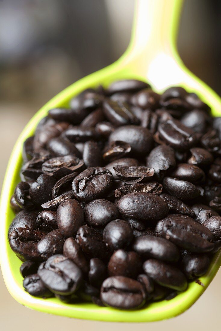 Spoonful of Dark Roast Coffee Beans