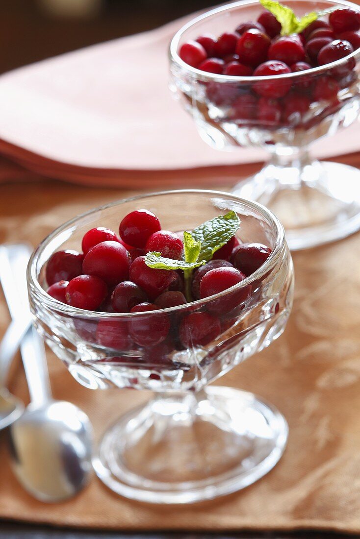 Cranberrysalat in Glasschalen mit Minzeblättchen