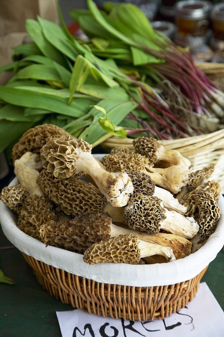 Wild Morel Mushrooms in a Basket at Farmer's Market