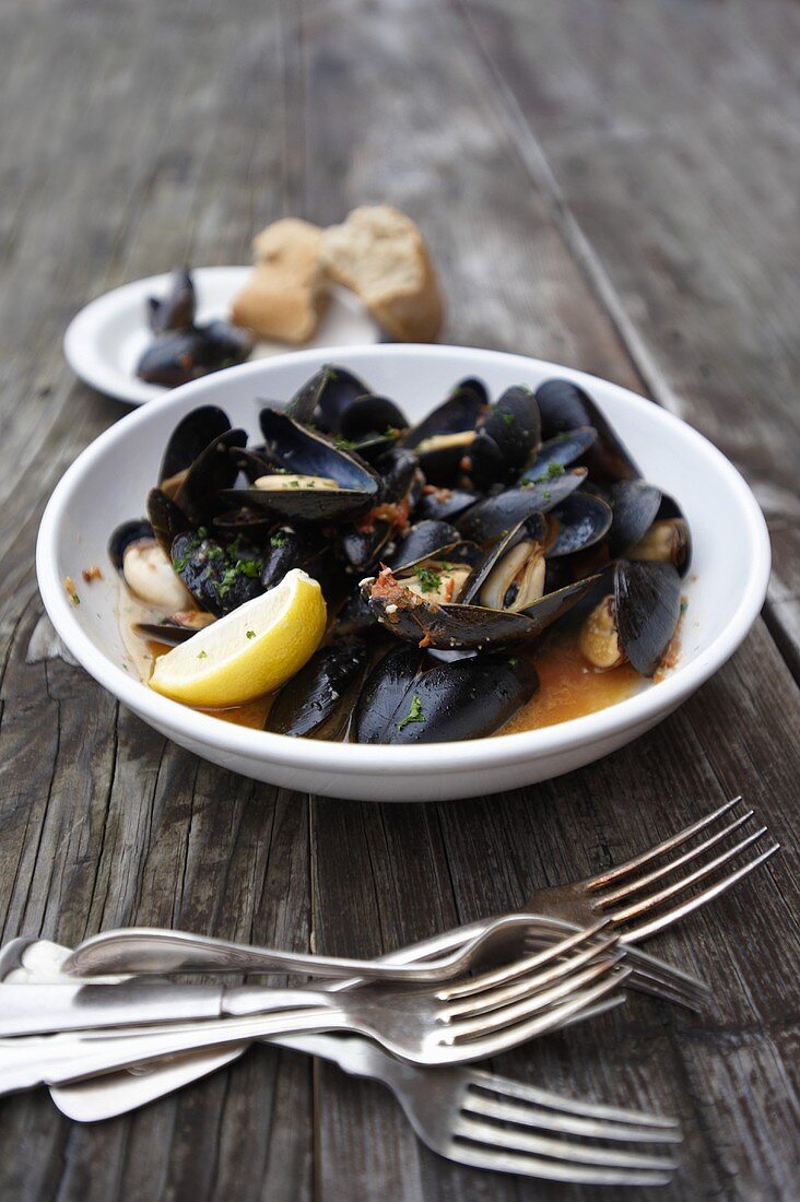 Bowl of Mussels in White Wine Tomato Broth