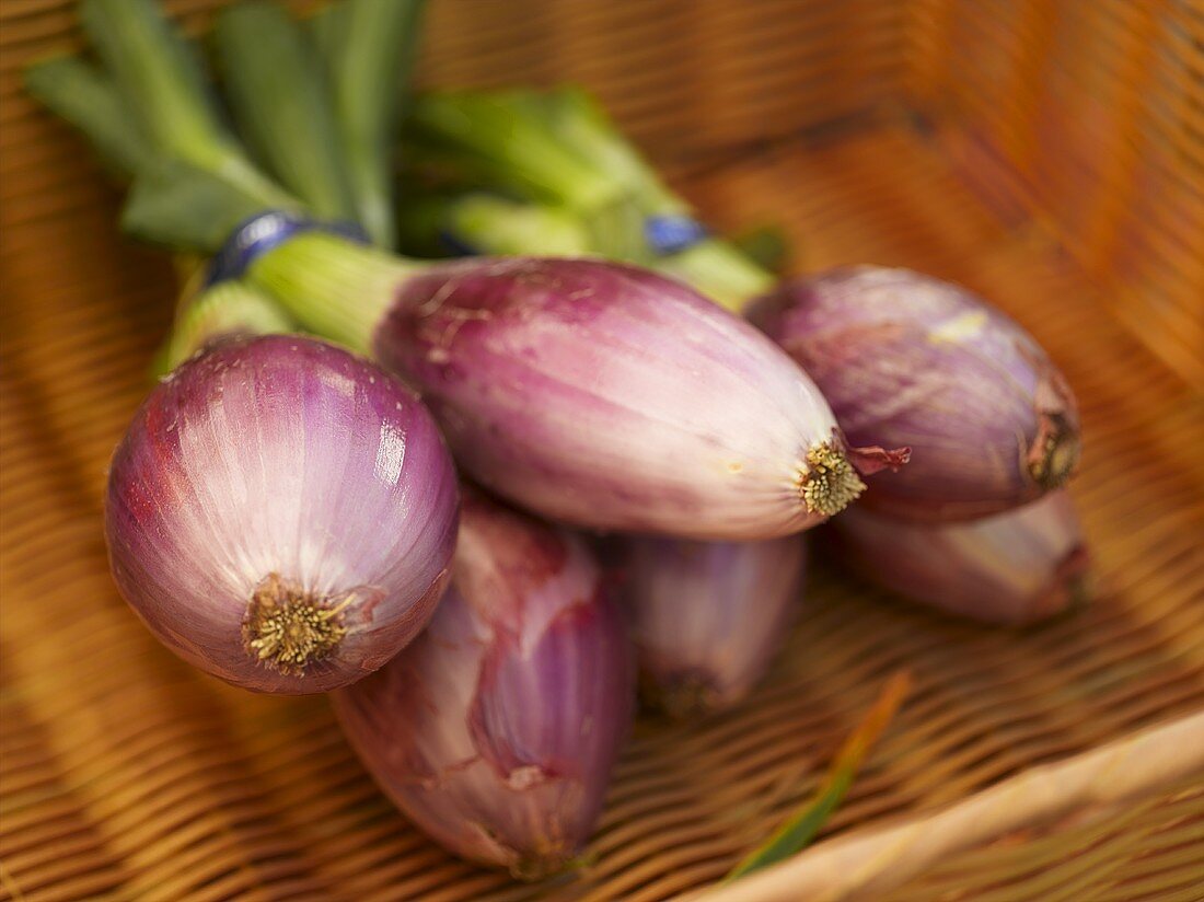 Shallots in a Basket at a Farmer's Market in Seattle Washington