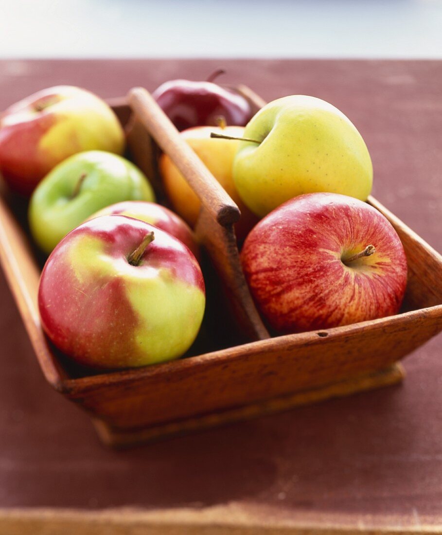Verschiedene Äpfel in einer Holzschale