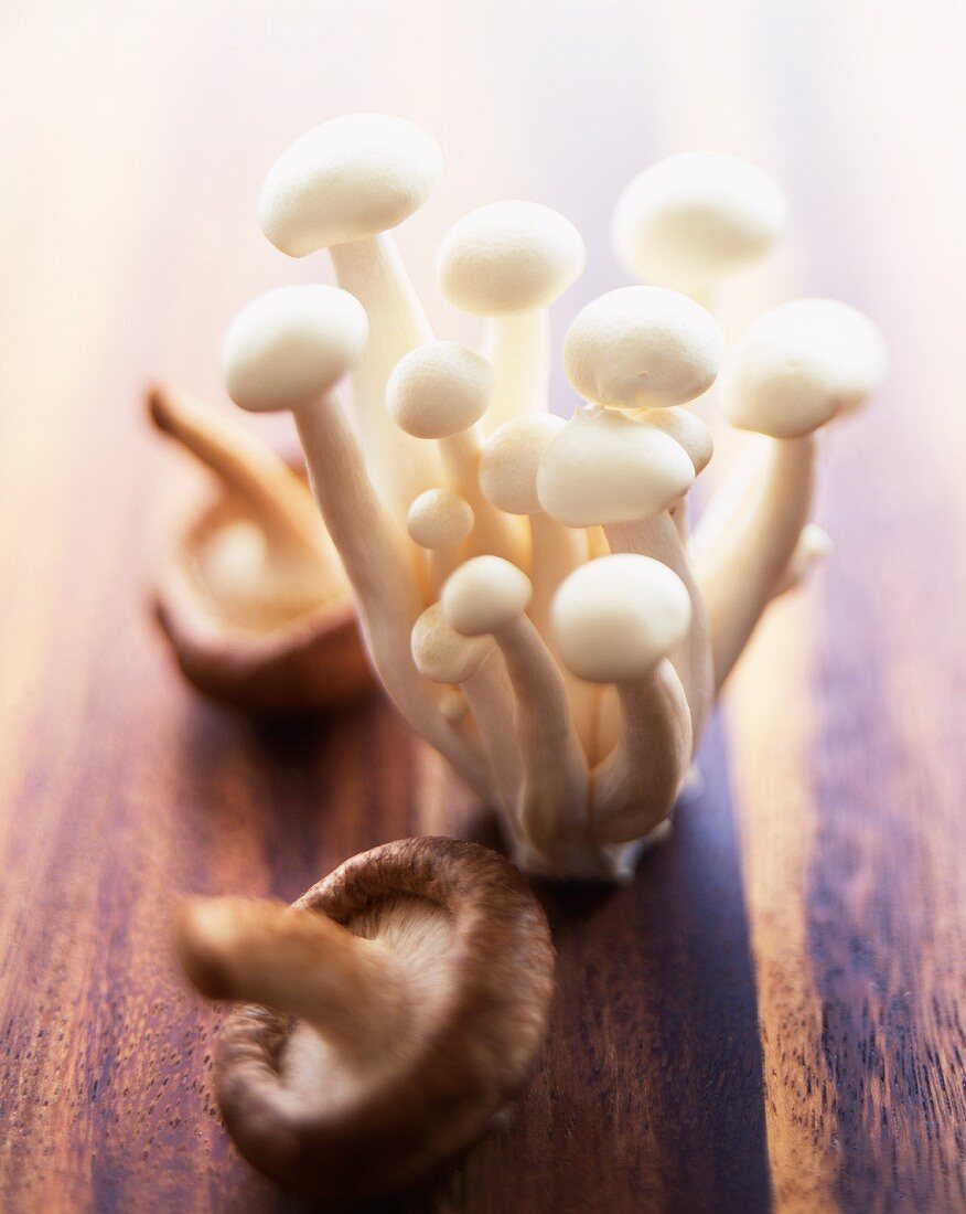 Shiitake und Enoki Pilze auf Holzbrett