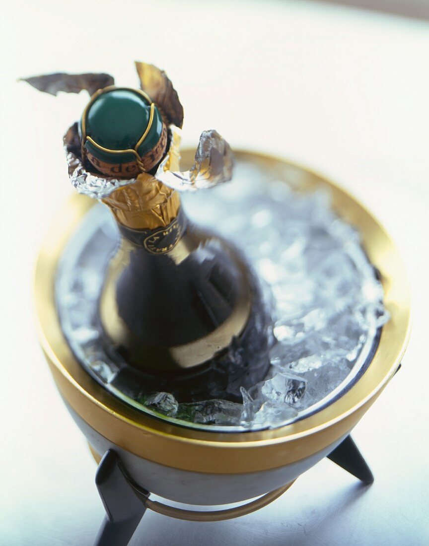 Bottle of sparkling wine in ice bucket