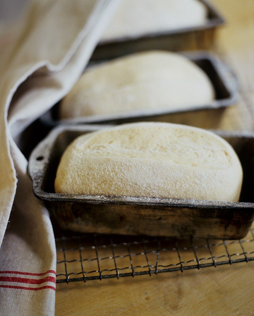 Aufgegangene Brotlaibe nach dem Ruhen