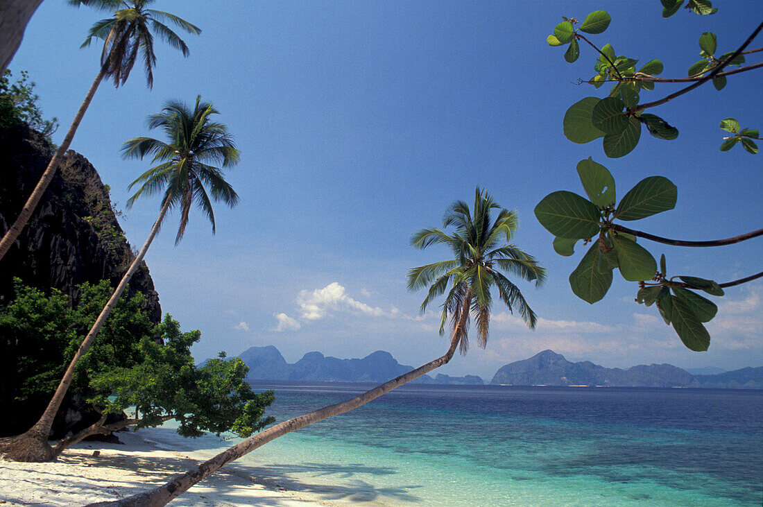 Palm beach in the sunlight, Palawan, Philippines, Asia