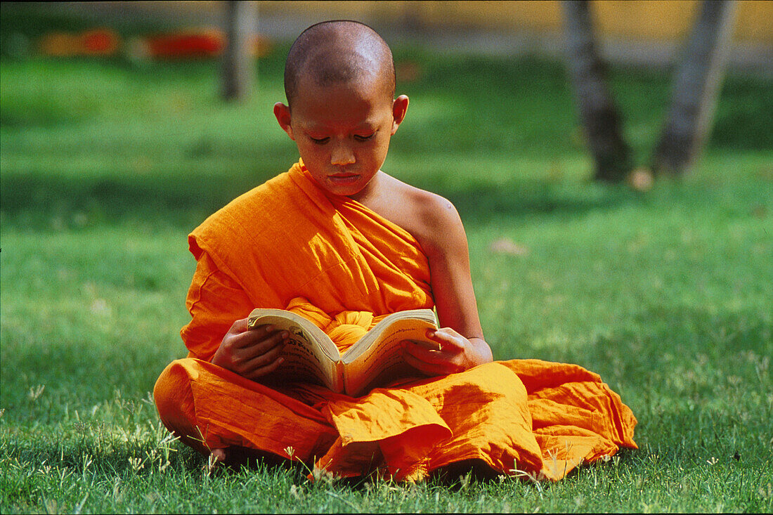 Junger Mönch liest auf einer Wiese, Phuket, Thailand, Asien