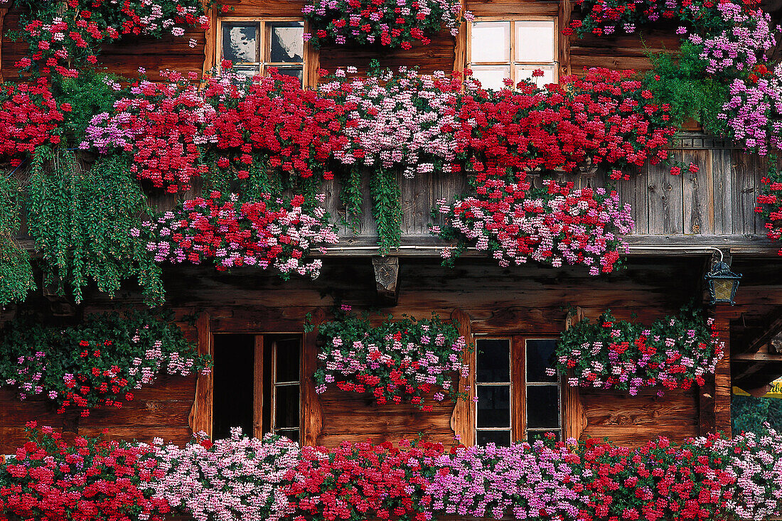 Bauernhaus, Blumenpracht Bayern, Deutschland