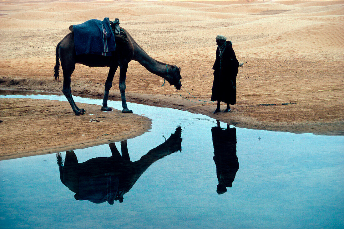 Mann mit Kamel am Wasser, Tunesien, Afrika