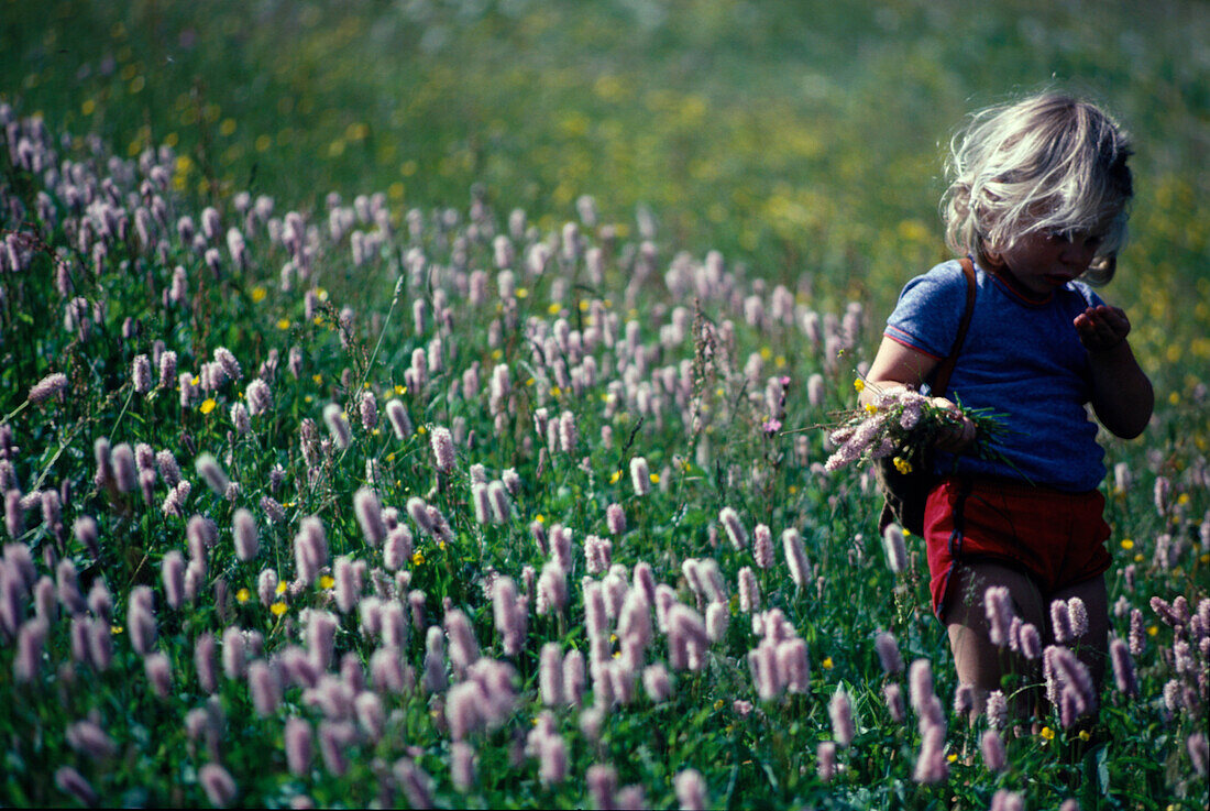 Kind auf einer Blumenwiese