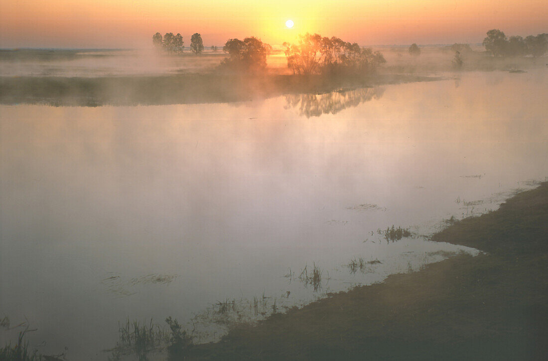 Fog on a lake at sunset, Masurian lake district, Masuria, Poland, Europe