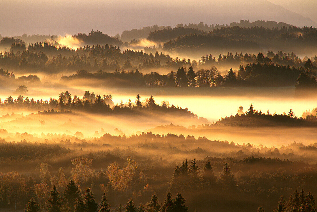 Bavarian hills and woodland in the dusk, Upper Bavaria, Germany