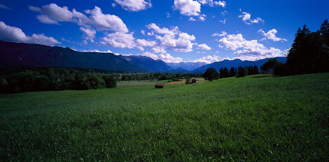 Bavarian mountain pasture, Upper Bavaria, Germany