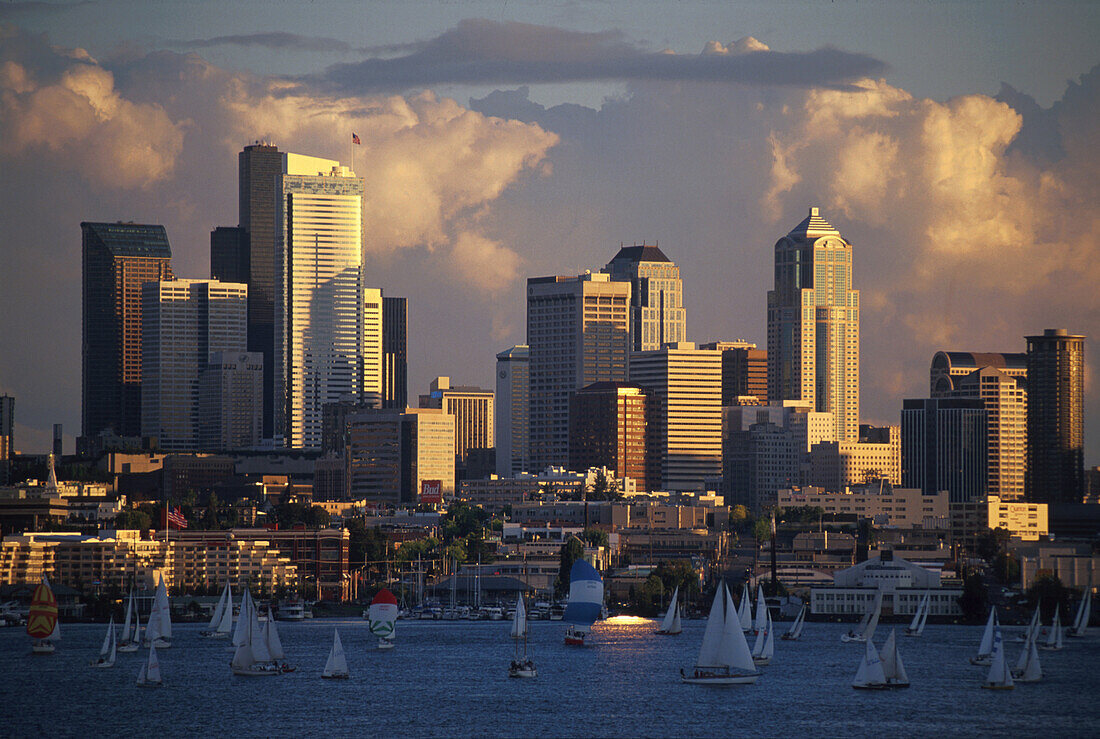 Sailing boats on Lake Union in front of high rise buildings in the light of the evening sun, Seattle, Washington, USA, America