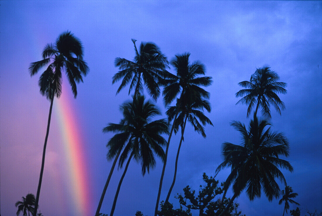 Regenbogen Moorea, Französisch Polynesien