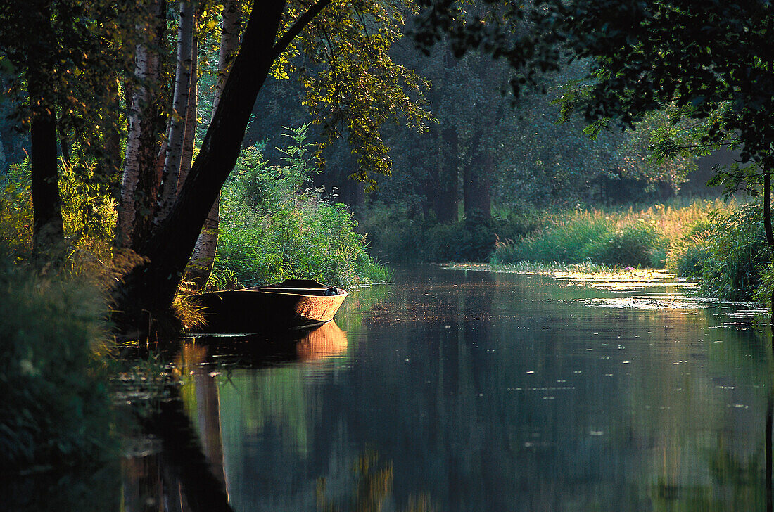 Einsames Ruderboot auf dem Fluss, Spreewald, Brandenburg, Deutschland