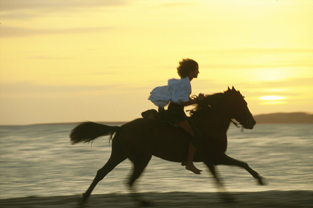 Female rider at beach, Argentina, South America