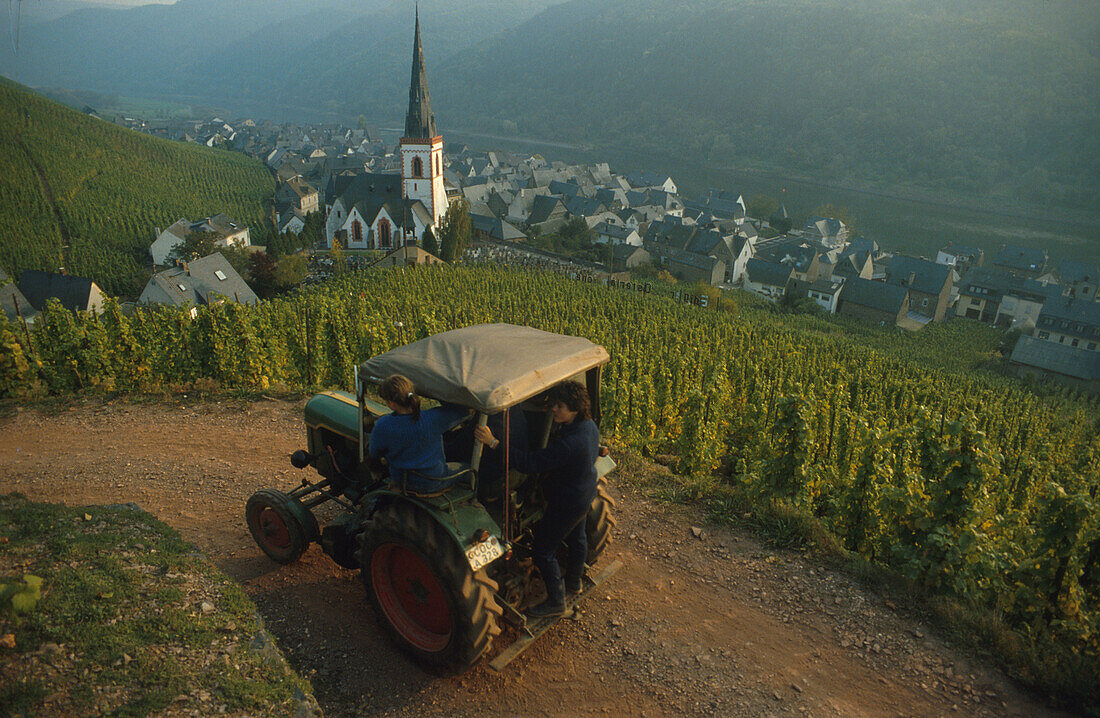 Traktor mit Blick in ein Tal, Mosel, Rheinland Pfalz, Deutschland