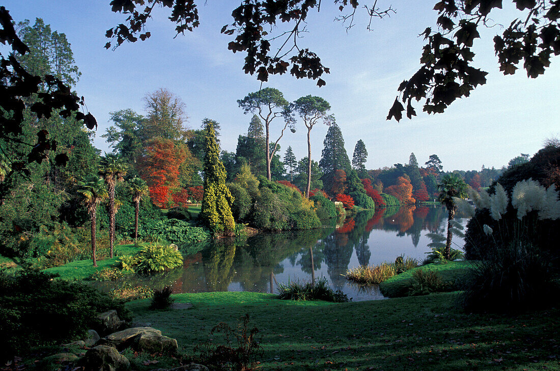 View at trees and a lake at Sheffield Park Garden, Sussex, England, Great Britain, Europe