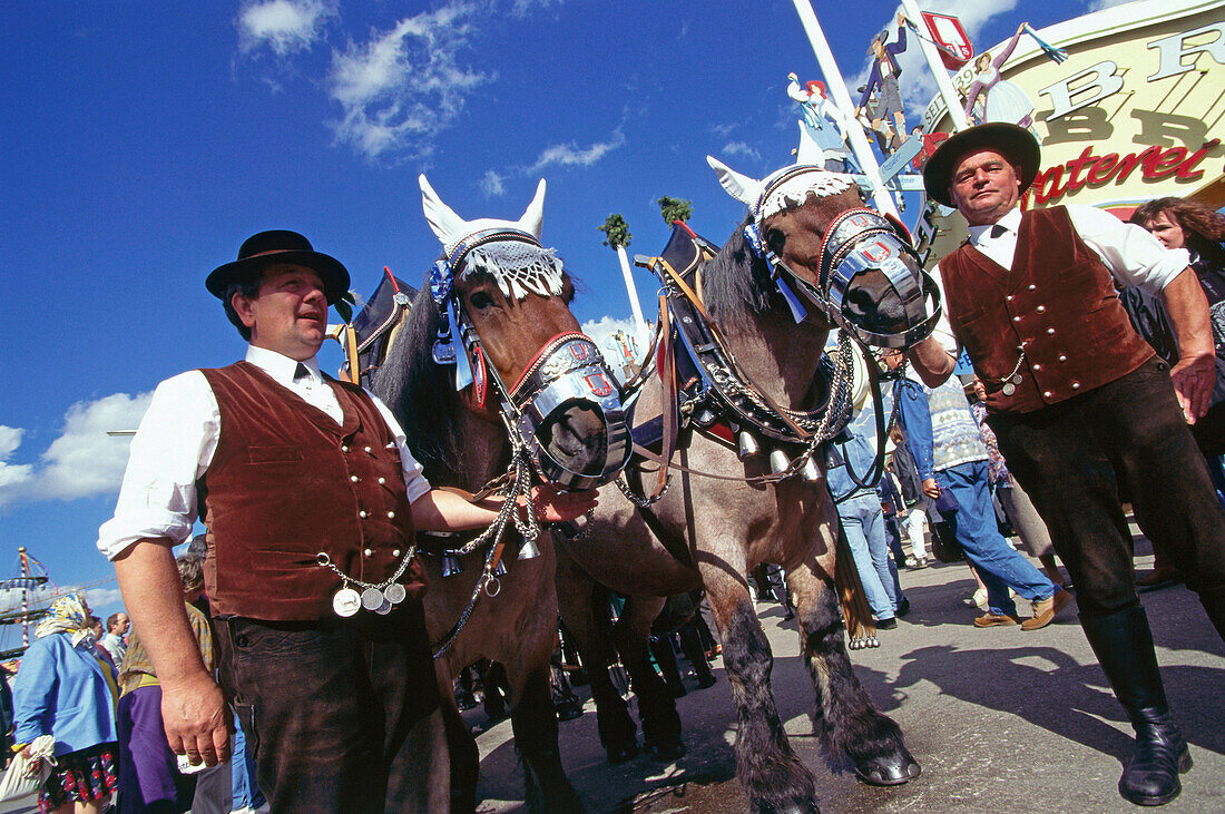 Two Draymen with horses at Oktoberfest, Munich, Bavaria