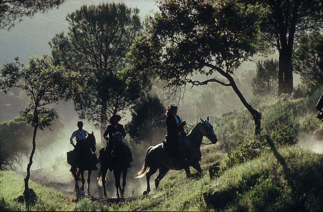Pilger reiten durch sonnige Landschaft, Andujar, Provinz Jaen, Andalusien, Spanien, Europa